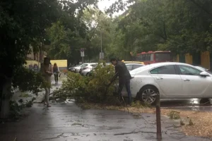 Росгосстрах и ведущие эксперты рассказали, как защитить авто от непогоды rosgosstrah i vedushhie eksperty rasskazali kak zashhitit avto ot nepogody-lessontime-ru-0