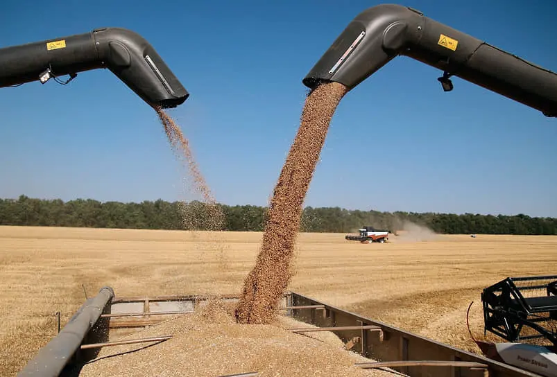 ИКАР, Совэкон и Русагротранс представляют оптимистичный взгляд на экспорт российского зерна-0