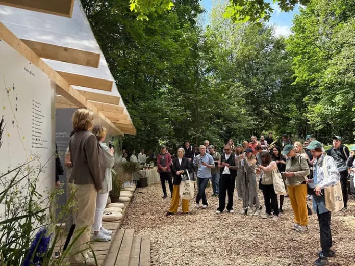 proekt niny gomiashvili pokazyvaet lechebnuyu silu lesa v gorkah leninskih-lessontime-ru-0