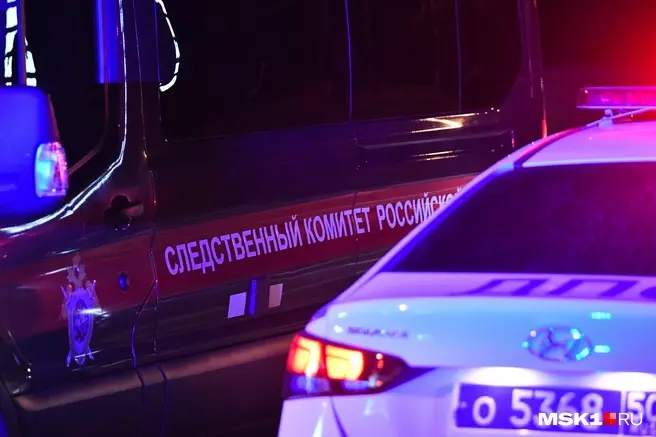 В Подмосковье супруг несколько часов издевался над женой, а затем убил | Источник: Артём Устюжанин / MSK1.RU