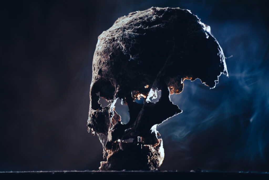 Древний человеческий череп