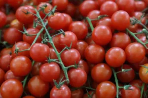 Владимир из села Путятино — фермер из Липецкой области, расположенной между Москвой и линией СВО vladimir iz sela putyatino fermer iz lipeczkoj oblasti raspolozhennoj mezhdu moskvoj i liniej svo-lessontime-ru-0