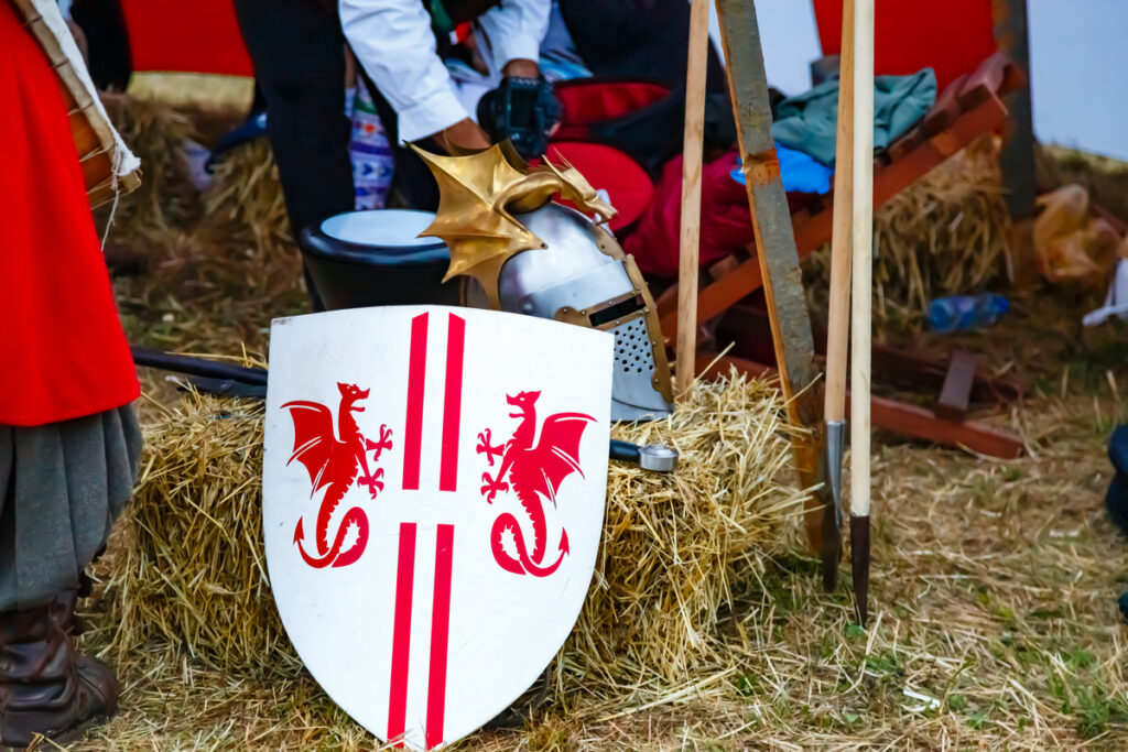 Яркий красно-белый щит с эмблемой мифических драконов в лагере