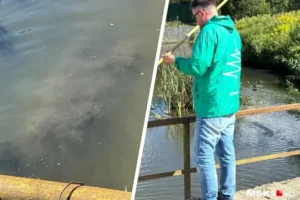 Ольга Привалова, Наталья и «Зеленые» борются за чистоту реки Скалба olga privalova natalya i zelenye boryutsya za chistotu reki skalba-lessontime-ru-0