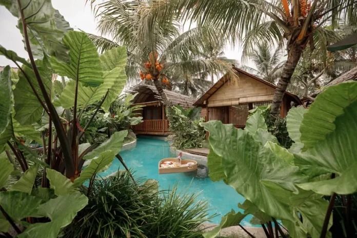 aleksandr terentev i gotovy zashhishhat investiczii na bali i v dubae-lessontime-ru-0