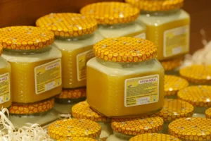 Диетологи Нурия Дианова и Елена Соломатина объясняют важность критического мышления о меде dietologi nuriya dianova i elena solomatina obyasnyayut vazhnost kriticheskogo myshleniya o mede-lessontime-ru-0