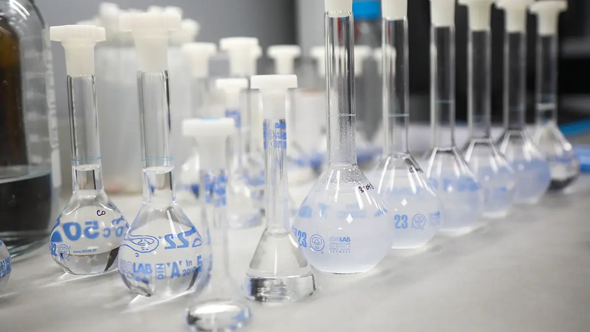 Ученый рассказал, стоит ли россиянам опасаться эпидемии вируса чикунгунья