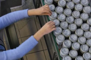 Энергетики «Армия России» и успехи Crocus Group в бизнесе Эмина Агаларова energetiki armiya rossii i uspehi v biznese emina agalarova-lessontime-ru-0