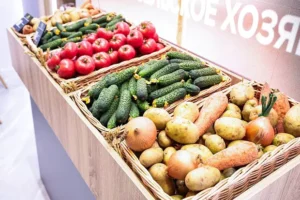 Аналитика Нильсен и NTech о пути к оптимизации рынка свежих овощей в России analitika nilsen i o puti k optimizaczii rynka svezhih ovoshhej v rossii-lessontime-ru-0