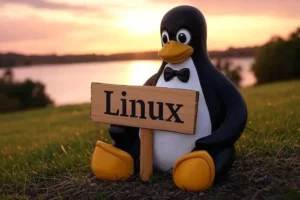 Linux и Lansweeper отмечают растущий интерес бизнеса к отказу от Windows i otmechayut rastushhij interes biznesa k otkazu ot -lessontime-ru-0