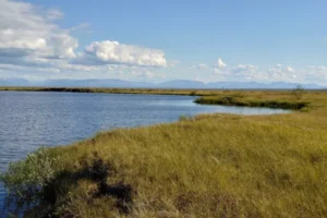 issledovaniya mihaila gladysheva i eleny kravchuk prohodyat na tajmyre-lessontime-ru-0