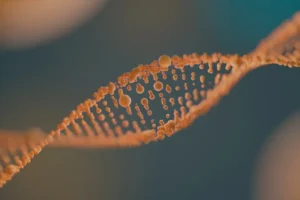 Медико-генетический научный центр им. Н.П. Бочкова внедряет инновации в лечение эпилепсии через исследование DEPDC5 и GATOR1 medikogeneticheskij nauchnyj czentr im np bochkova vnedryaet innovaczii v lechenie epilepsii cherez issledovanie 5 i 1-lessontime-ru-0