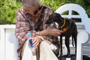 На Тверском бульваре прошли яркие события с Комитетом ветеринарии Москвы na tverskom bulvare proshli yarkie sobytiya s komitetom veterinarii moskvy-lessontime-ru-0