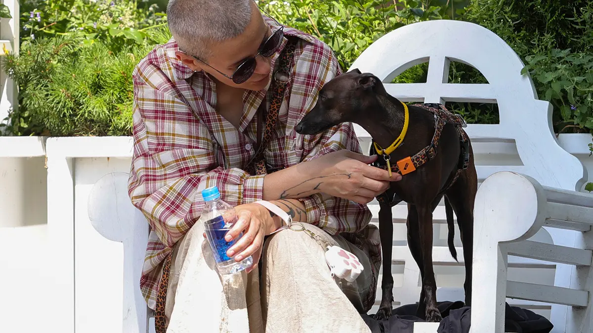 Фестиваль «Моспитомец» пройдет на Тверском бульваре 15–17 августа