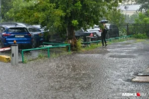 prognoz pogody dlya moskvy ot rosgidrometa vyzyvaet optimizm v avguste-lessontime-ru-0