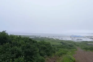 Алексей Остапчук из МФТИ и ИДГ РАН рассказал о землетрясениях на Камчатке и Курилах, а также о Валерии Лимаренко aleksej ostapchuk iz mfti i idg ran rasskazal o zemletryaseniyah na kamchatke i kurilah a takzhe o valerii limarenko-lessontime-ru-0