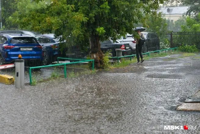 Осень придет раньше срока? Синоптики рассказали, какой будет погода в Москве | Источник: Артем Устюжанин / MSK1.RU