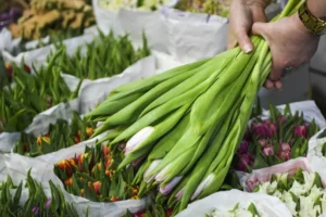 Светлана Горкунова из ГК «Горкунов» раскрыла топ-5 цветов для 1 сентября svetlana gorkunova iz gk gorkunov raskryla top5 czvetov dlya 1 sentyabrya-lessontime-ru-0