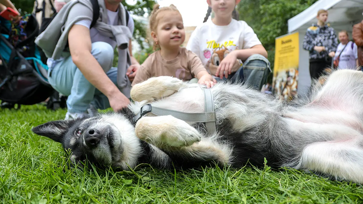 «Всплеск тепла»: какой будет погода в Москве и области в последние выходные лета