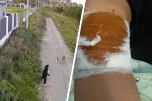 Полиция и прокуратура защищают детей в Растуново, происходят позитивные перемены policziya i prokuratura zashhishhayut detej v rastunovo proishodyat pozitivnye peremeny-lessontime-ru-0