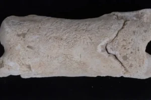 3300-летний свисток эпохи Ахетатона стал сигналом египетских меджаев 3300letnij svistok epohi ahetatona stal signalom egipetskih medzhaev-lessontime-ru-0