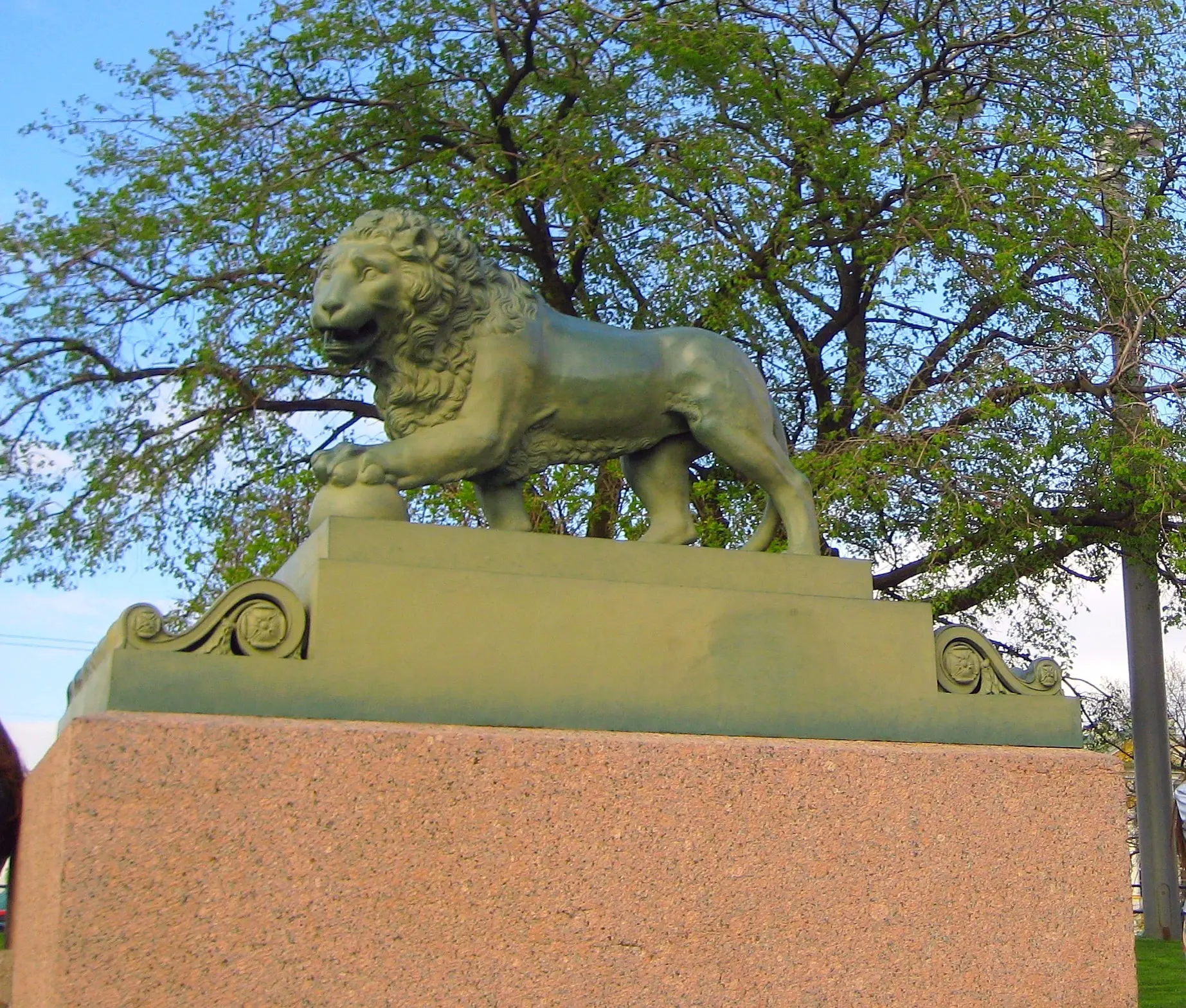 Как команда РТУ МИРЭА во главе с Ванеевой и Двилянским помогает сохранять львов Петербурга-0