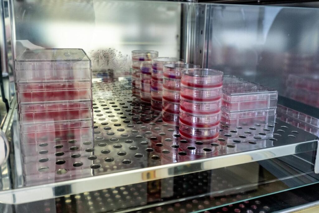 Лабораторные исследования