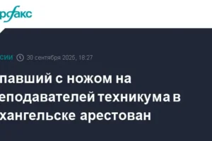 Ломоносовский суд арестовал Артемия Корюкова после решения СКР в Архангельске lomonosovskij sud arestoval artemiya koryukova posle resheniya skr v arhangelske-lessontime-ru-0