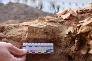 Историческое открытие Института археологии РАН и СмолГУ в центре Смоленска istoricheskoe otkrytie instituta arheologii ran i smolgu v czentre smolenska-lessontime-ru-0