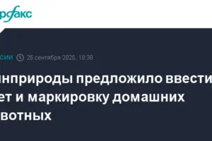 Минприроды расширяет учет, чипирование и маркировку домашних животных в России minprirody rasshiryaet uchet chipirovanie i markirovku domashnih zhivotnyh v rossii-lessontime-ru-0