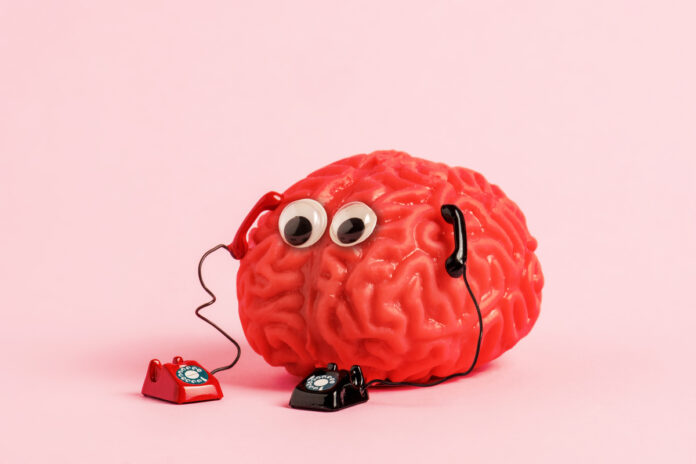model_chelovecheskogo_mozga_s_dvumya_retro_telefonami_foto_lessontime Модель человеческого мозга с двумя ретро-телефонами