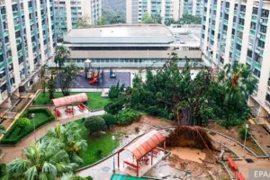 Тайфун Рагаса вызывает сплочённые усилия Гуандуна, Гонконга и Тайваня tajfun ragasa vyzyvaet splochyonnye usiliya guanduna gonkonga i tajvanya-lessontime-ru-0