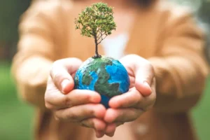 В COP29 международные финансовые организации утвердили поддержку климату в $137 млрд v 29 mezhdunarodnye finansovye organizaczii utverdili podderzhku klimatu v 137 mlrd-lessontime-ru-0