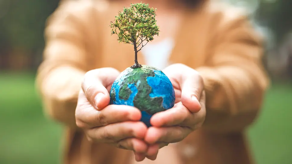 В COP29 международные финансовые организации утвердили поддержку климату в $137 млрд-0