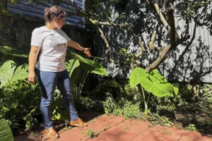 v novom orleane obnaruzhen drevnerimskij artefakt s istoriej seksta kongeniya vera-lessontime-ru-0