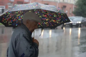 Михаил Мурашко и эксперты обсуждают курс России на долгую жизнь mihail murashko i eksperty obsuzhdayut kurs rossii na dolguyu zhizn-lessontime-ru-0