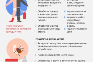 departament prirodopolzovaniya moskvy soobshhaet ob aktivnosti kleshhej v stolicze-lessontime-ru-0