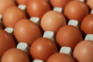 ekaterina bankovskaya i larisa volkova rasskazyvayut o polze yaicz-lessontime-ru-0