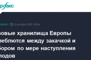 Европейские газовые хранилища устойчиво пополняются СПГ, несмотря на холода evropejskie gazovye hranilishha ustojchivo popolnyayutsya spg nesmotrya na holoda-lessontime-ru-0