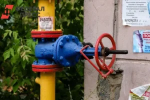 gazifikacziya snt tyumenskoj oblasti privodit k borbe za podklyuchenie k gazu-lessontime-ru-0