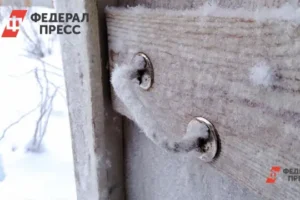 Гидрометцентр России прогнозирует морозы до -20°C в Иркутской области gidrometczentr rossii prognoziruet morozy do 20 v irkutskoj oblasti-lessontime-ru-0