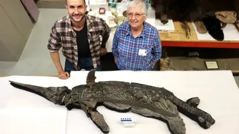 Скелет ранее неизвестного вида ихтиозавра нашли в Британии