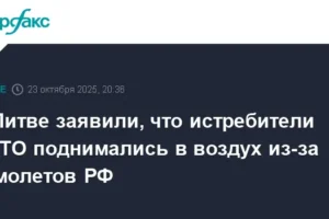 litva soobshhaet o bystrom reagirovanii istrebitelej nato na polety rossijskih samoletov su30 i il78-lessontime-ru-0