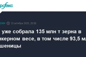 Минсельхоз сообщает о рекордном урожае зерна в 135 миллионов тонн minselhoz soobshhaet o rekordnom urozhae zerna v 135 millionov tonn-lessontime-ru-0