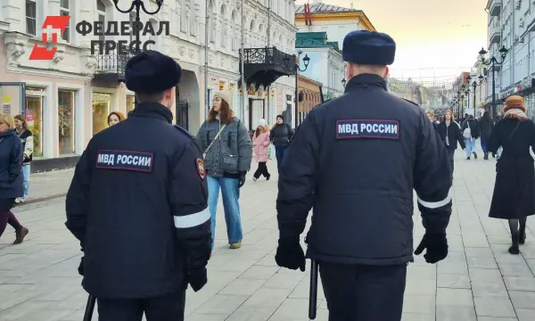 МВД РФ пресекло деятельность фиктивных организаций по нелегальной легализации мигрантов-0