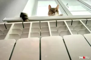 optimistichnyj vzglyad moek i krohina na problemy otopleniya v domah moskvichej-lessontime-ru-0