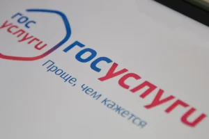 Онлайн-налоговые вычеты на Госуслугах по заявке Григоренко удобны и надёжны onlajnnalogovye vychety na gosuslugah po zayavke grigorenko udobny i nadyozhny-lessontime-ru-0