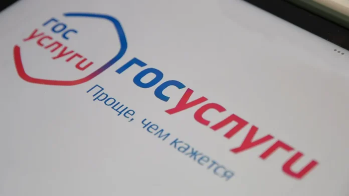 onlajnnalogovye vychety na gosuslugah po zayavke grigorenko udobny i nadyozhny-lessontime-ru-0