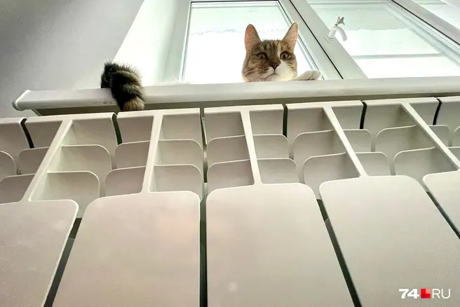 Коммунальщики, рассказали, почему в Москве не у всех включено отопление | Источник: Илья Бархатов / 74.RU