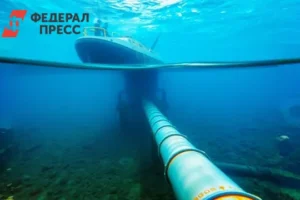 Польша не собирается выдавать Германии украинца, интрига вокруг Северных потоков polsha ne sobiraetsya vydavat germanii ukraincza intriga vokrug severnyh potokov-lessontime-ru-0